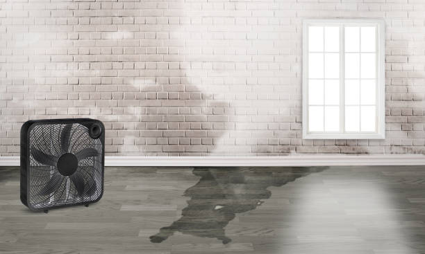 Best Fire Damage Restoration  in Kingstowne, VA