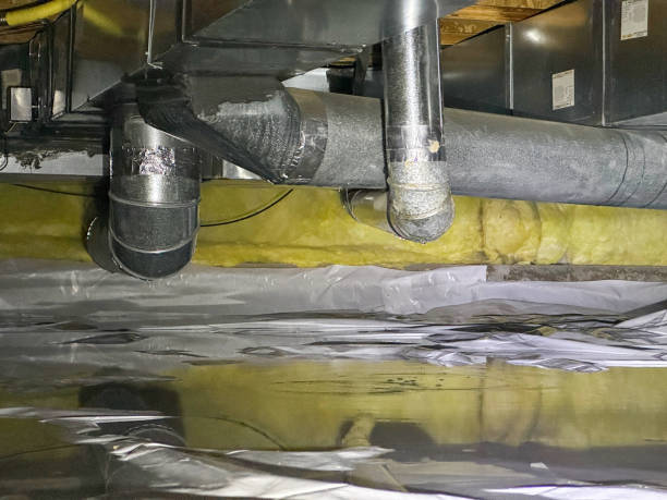 Best Professional water damage repair  in Kingstowne, VA